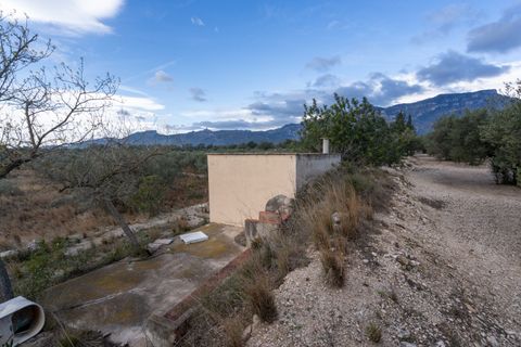 Finca i Roquetes, Tarragona, Roquetes - € 41.000 | Ref: 24 - foto 22