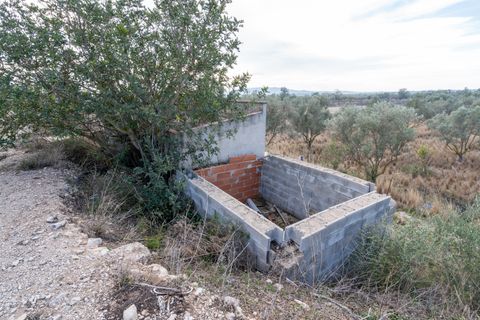 Finca i Roquetes, Tarragona, Roquetes - € 41.000 | Ref: 24 - foto 15