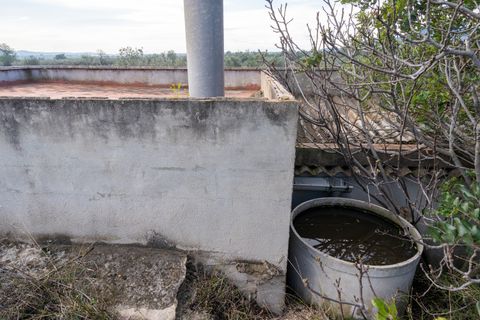 Finca i Roquetes, Tarragona, Roquetes - € 41.000 | Ref: 24 - foto 20
