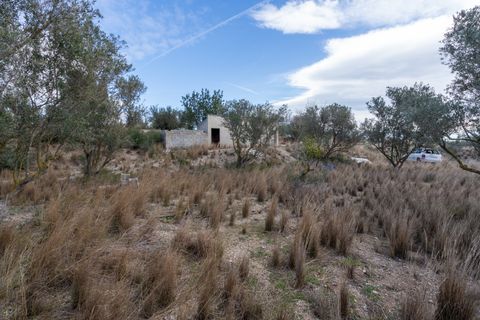 Finca i Roquetes, Tarragona, Roquetes - € 41.000 | Ref: 24 - foto 11