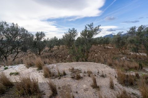 Finca i Roquetes, Tarragona, Roquetes - € 41.000 | Ref: 24 - foto 8