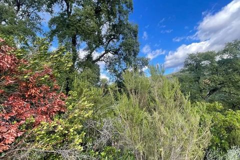 Terra a Bisignano, Cosenza, Bisignano - € 50.000 | Ref: 83797627 - foto 2