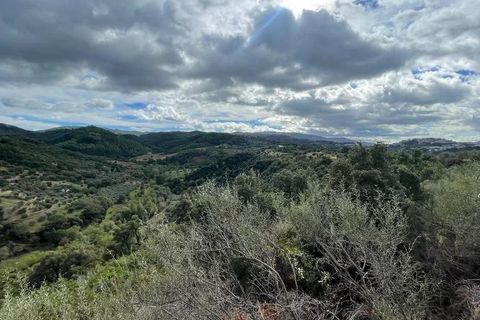 Terra a Bisignano, Cosenza, Bisignano - € 50.000 | Ref: 83797627 - foto 3