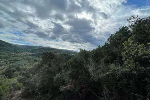 Terra a Bisignano, Cosenza, Bisignano - € 50.000 | Ref: 83797627 - foto 4