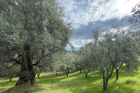 Helårsgrund i Bisignano, Cosenza, Bisignano - € 22.000 | Ref: 83711481 - foto 2