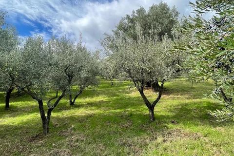 Helårsgrund i Bisignano, Cosenza, Bisignano - € 22.000 | Ref: 83711481 - foto 3
