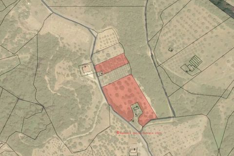 Helårsgrund i Bisignano, Cosenza, Bisignano - € 22.000 | Ref: 83711481 - foto 4