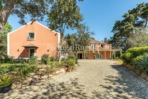 Farm i Sintra, Lisbon, Sintra - € 7.400.000 | Ref: FG331 - foto 5