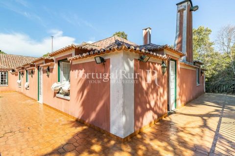 Farm i Sintra, Lisbon, Sintra - € 7.400.000 | Ref: FG331 - foto 10