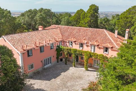 Farm i Sintra, Lisbon, Sintra - € 7.400.000 | Ref: FG331 - foto 2