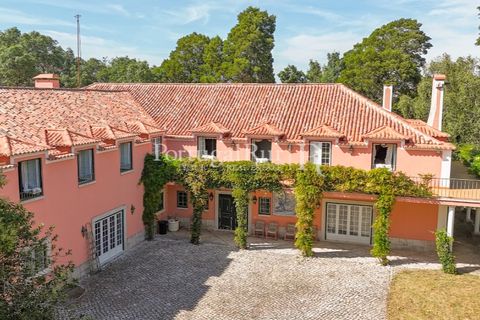 Farm i Sintra, Lisbon, Sintra - € 7.400.000 | Ref: FG331 - foto 3