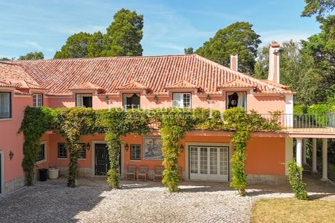Farm i Sintra, Lisbon, Sintra - € 7.400.000 | Ref: FG331 - foto 27