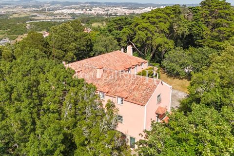 Farm i Sintra, Lisbon, Sintra - € 7.400.000 | Ref: FG331 - foto 28