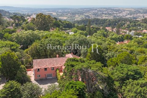 Farm i Sintra, Lisbon, Sintra - € 7.400.000 | Ref: FG331 - foto 29