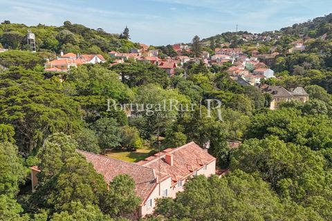 Farm i Sintra, Lisbon, Sintra - € 7.400.000 | Ref: FG331 - foto 30