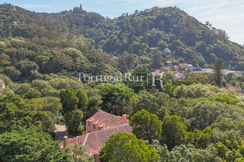 Farm i Sintra, Lisbon, Sintra - € 7.400.000 | Ref: FG331 - foto 31