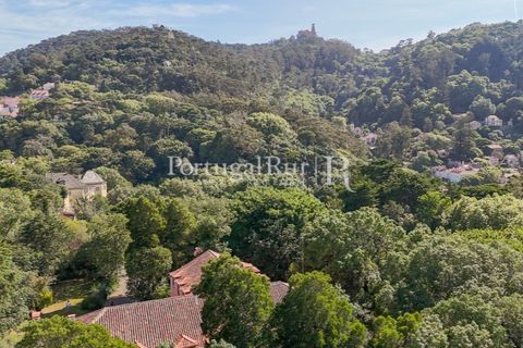 Farm i Sintra, Lisbon, Sintra - € 7.400.000 | Ref: FG331 - foto 32