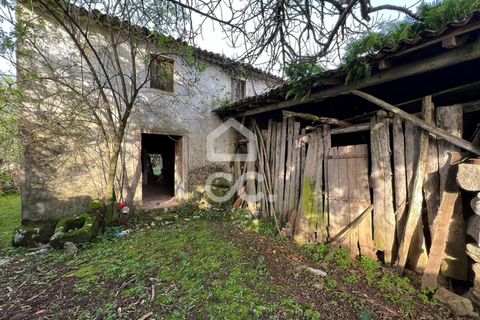 Villa a Soure, Coimbra, Soure - € 30.000 | Ref: 385/M/00663 - foto 3