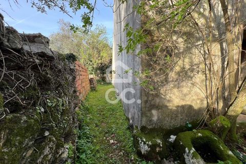 Villa a Soure, Coimbra, Soure - € 30.000 | Ref: 385/M/00663 - foto 4