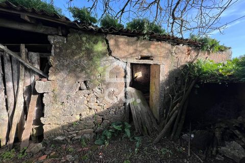 Villa a Soure, Coimbra, Soure - € 30.000 | Ref: 385/M/00663 - foto 6