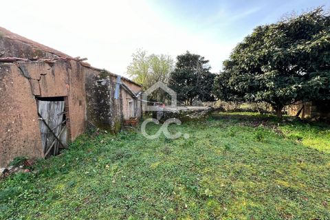 Villa a Soure, Coimbra, Soure - € 30.000 | Ref: 385/M/00663 - foto 8