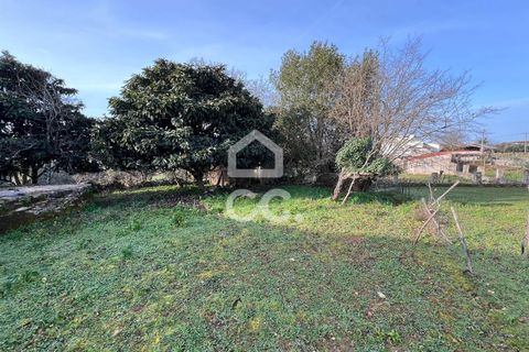Villa a Soure, Coimbra, Soure - € 30.000 | Ref: 385/M/00663 - foto 9