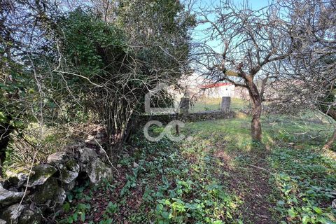 Villa a Soure, Coimbra, Soure - € 30.000 | Ref: 385/M/00663 - foto 10