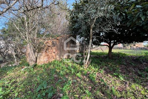 Villa a Soure, Coimbra, Soure - € 30.000 | Ref: 385/M/00663 - foto 11
