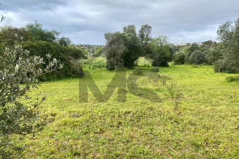 Helårsgrund i Alvor, Faro, Alvor - € 700.000 | Ref: MS106 - foto 4