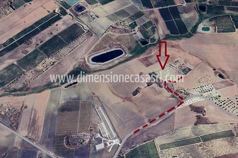 Helårsgrund i Caltanissetta, Caltanissetta, Caltanissetta - € 49.000 | Ref: TA67 - foto 5