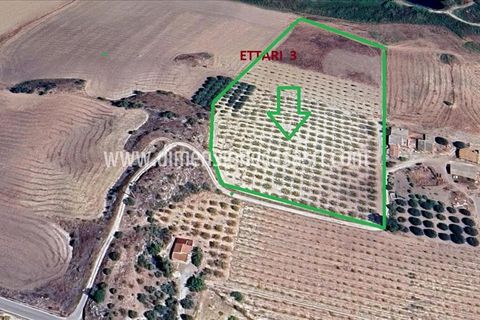 Helårsgrund i Caltanissetta, Caltanissetta, Caltanissetta - € 49.000 | Ref: TA67 - foto 6