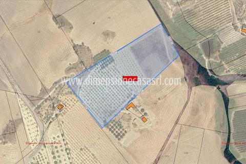 Helårsgrund i Caltanissetta, Caltanissetta, Caltanissetta - € 49.000 | Ref: TA67 - foto 7