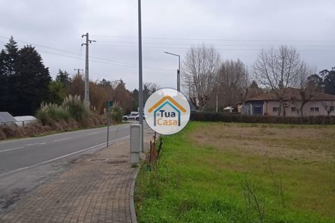 Helårsgrund i Vagos, Aveiro, Vagos - € 32.000 | Ref: 1TC3062 - foto 6