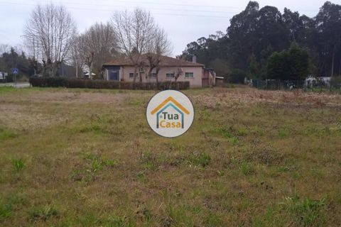 Helårsgrund i Vagos, Aveiro, Vagos - € 32.000 | Ref: 1TC3062 - foto 7