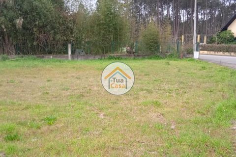 Helårsgrund i Vagos, Aveiro, Vagos - € 32.000 | Ref: 1TC3062 - foto 8