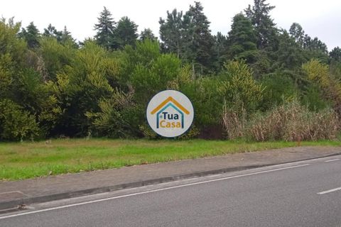 Helårsgrund i Vagos, Aveiro, Vagos - € 32.000 | Ref: 1TC3062 - foto 17