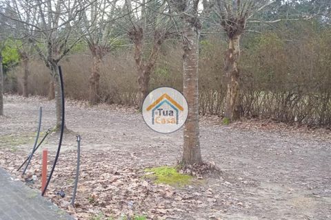 Helårsgrund i Vagos, Aveiro, Vagos - € 32.000 | Ref: 1TC3062 - foto 19