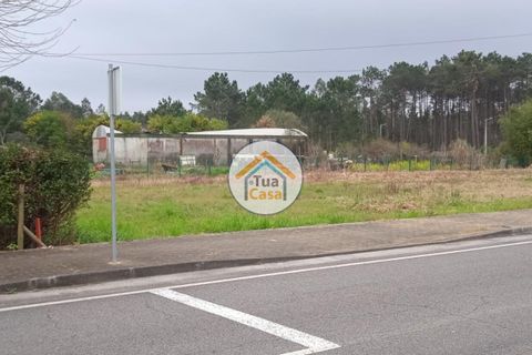 Helårsgrund i Vagos, Aveiro, Vagos - € 31.500 | Ref: 1TC3065 - foto 1