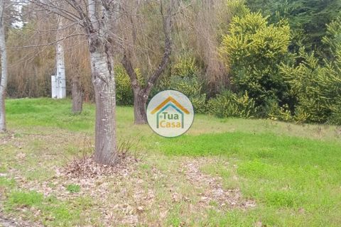 Helårsgrund i Vagos, Aveiro, Vagos - € 31.500 | Ref: 1TC3065 - foto 12