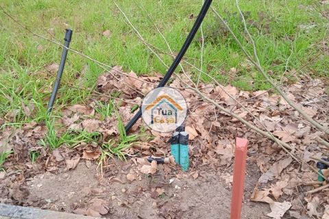 Helårsgrund i Vagos, Aveiro, Vagos - € 31.500 | Ref: 1TC3065 - foto 13