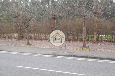 Helårsgrund i Vagos, Aveiro, Vagos - € 31.500 | Ref: 1TC3065 - foto 15