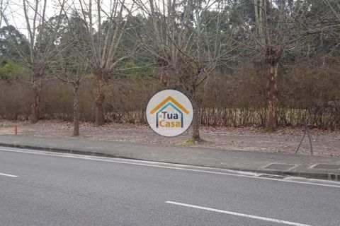 Helårsgrund i Vagos, Aveiro, Vagos - € 30.000 | Ref: 1TC3066 - foto 13