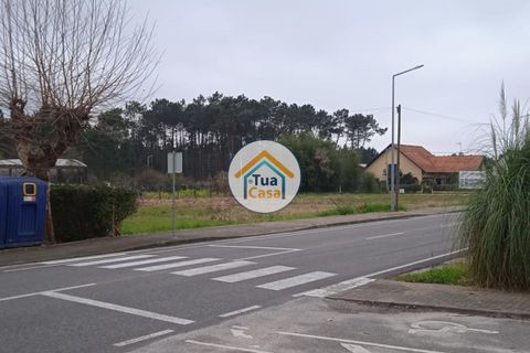 Helårsgrund i Vagos, Aveiro, Vagos - € 31.500 | Ref: 1TC3064 - foto 2