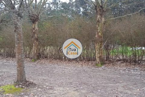 Helårsgrund i Vagos, Aveiro, Vagos - € 31.500 | Ref: 1TC3064 - foto 17