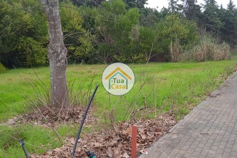 Helårsgrund i Vagos, Aveiro, Vagos - € 31.500 | Ref: 1TC3064 - foto 19
