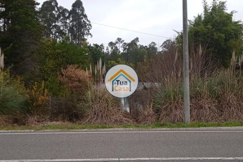Helårsgrund i Vagos, Aveiro, Vagos - € 33.000 | Ref: 1TC3063 - foto 3