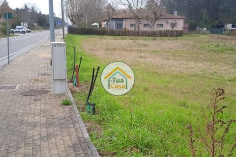Helårsgrund i Vagos, Aveiro, Vagos - € 33.000 | Ref: 1TC3063 - foto 5