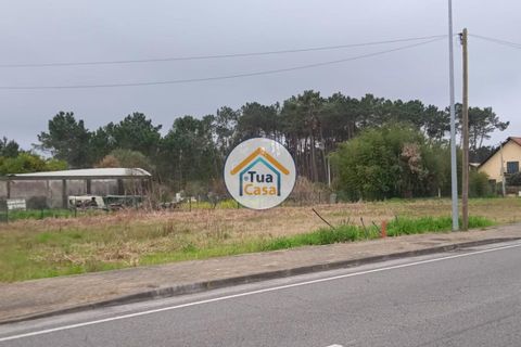 Helårsgrund i Vagos, Aveiro, Vagos - € 32.000 | Ref: 1TC3061 - foto 10