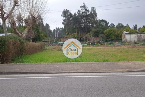 Helårsgrund i Vagos, Aveiro, Vagos - € 35.000 | Ref: 1TC3057 - foto 9