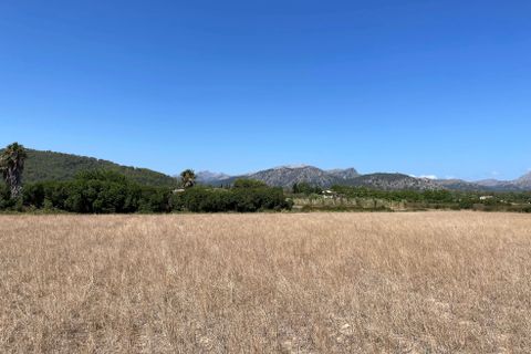 Terra a Alcudia, Mallorca, Alcudia - € 989.000 | Ref: 77338 - foto 2